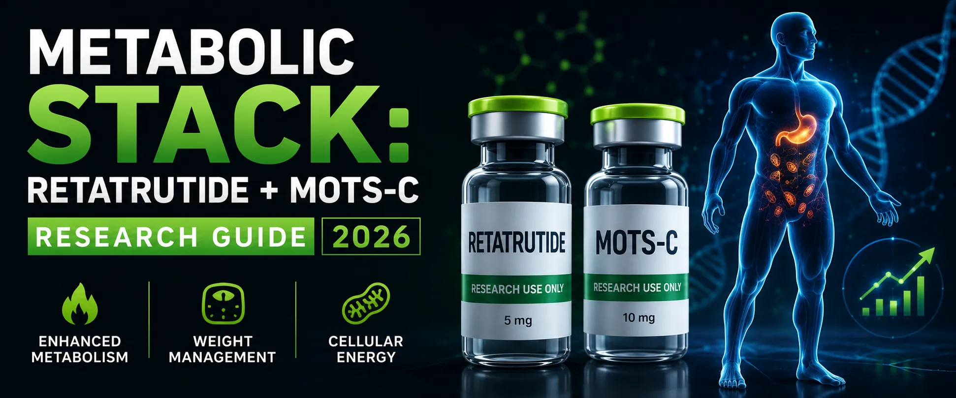 Metabolic Stack